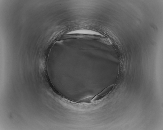 X0000112060035200908181208