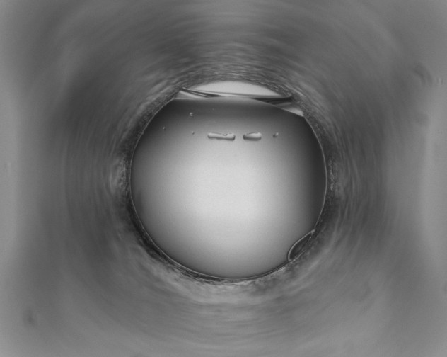 X0000112060036200908181208