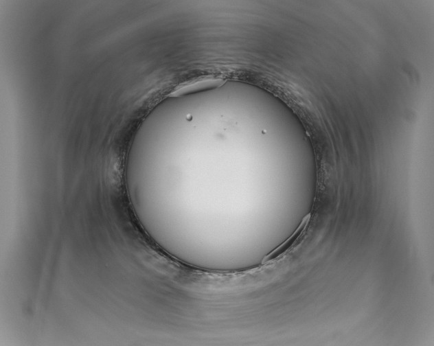 X0000112060037200908181208