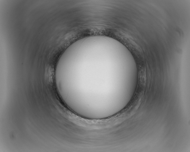 X0000112060038200908181208