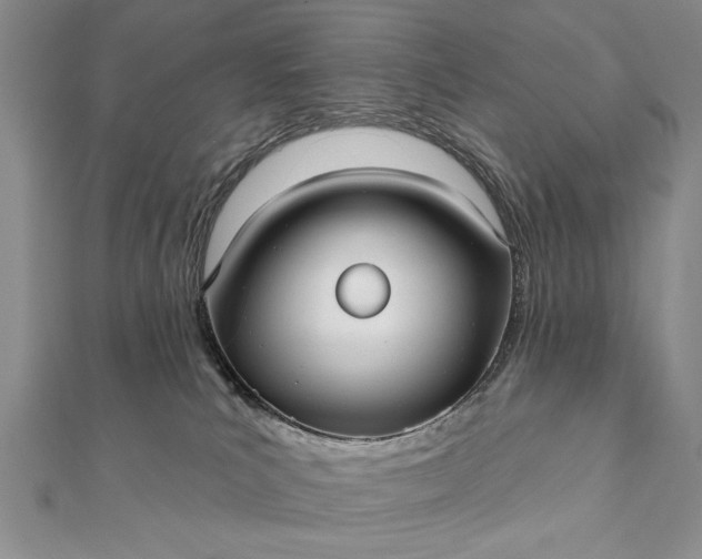 X0000112060039200908181208