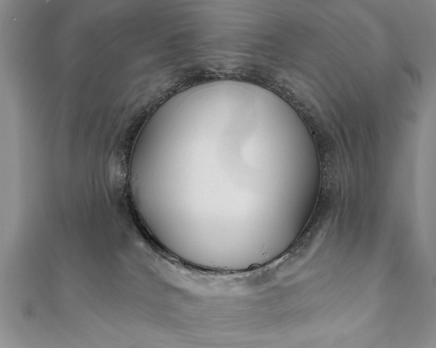 X0000112060040200908181208