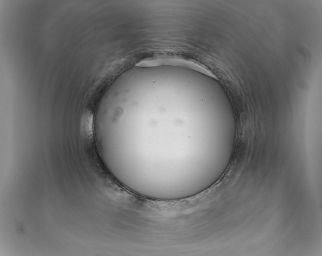 X0000112060041200908181208