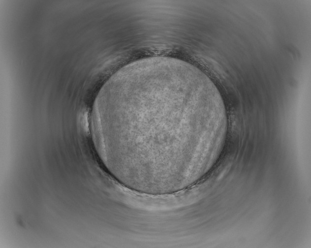 X0000112060042200908181208