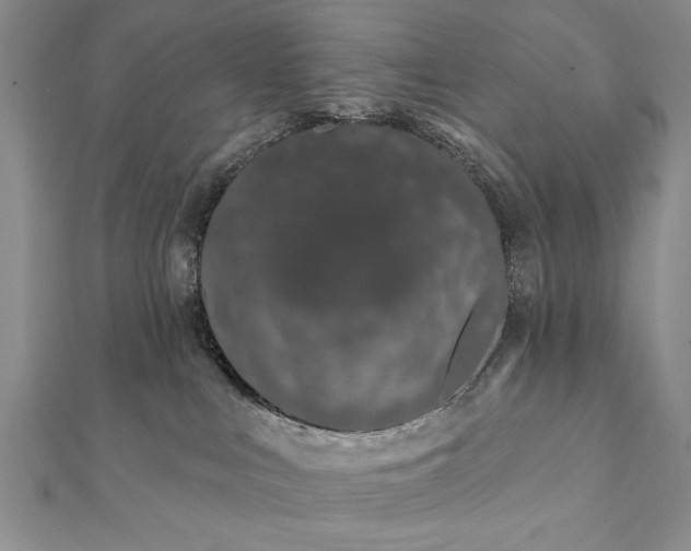 X0000112060043200908181208