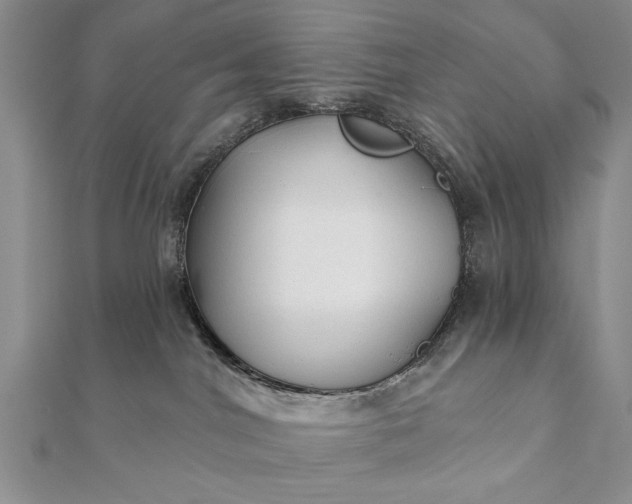 X0000112060044200908181208