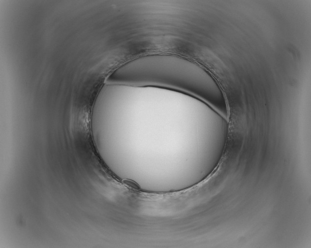 X0000112060045200908181208