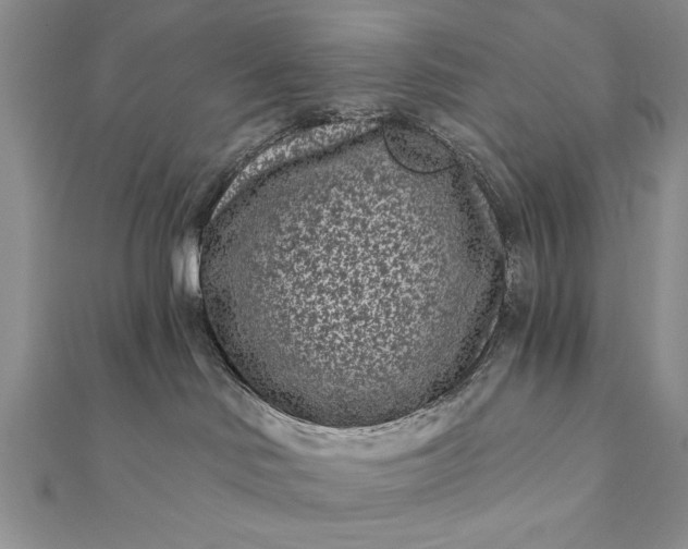 X0000112060046200908181208