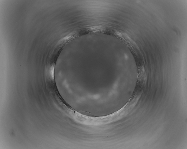 X0000112060047200908181208