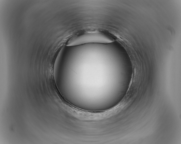 X0000112060048200908181208