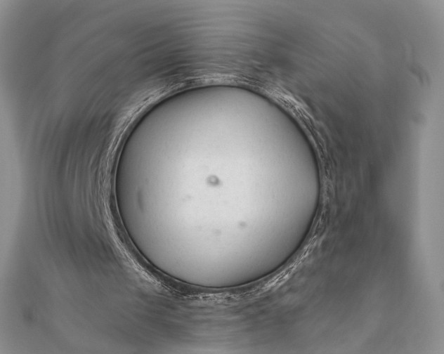 X0000112060049200908181207