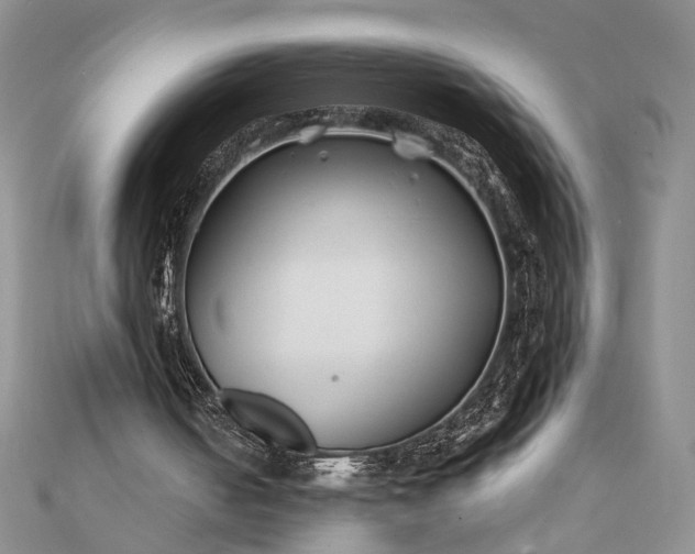 X0000112060050200908181207