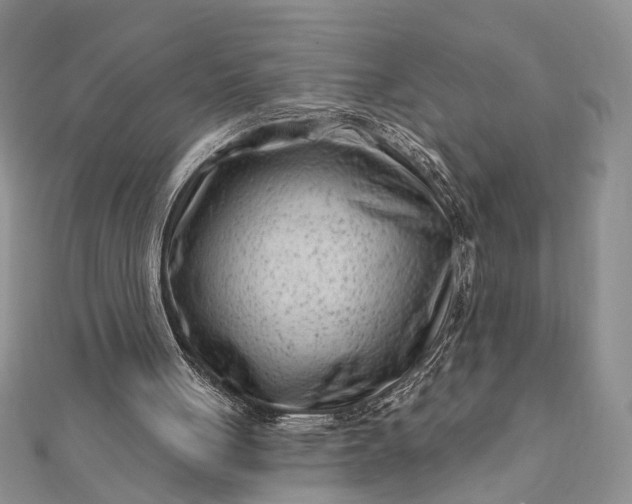 X0000112060051200908181207