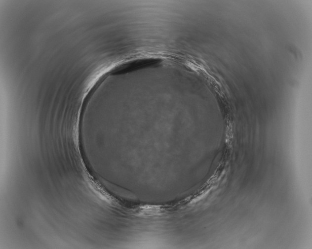 X0000112060052200908181207