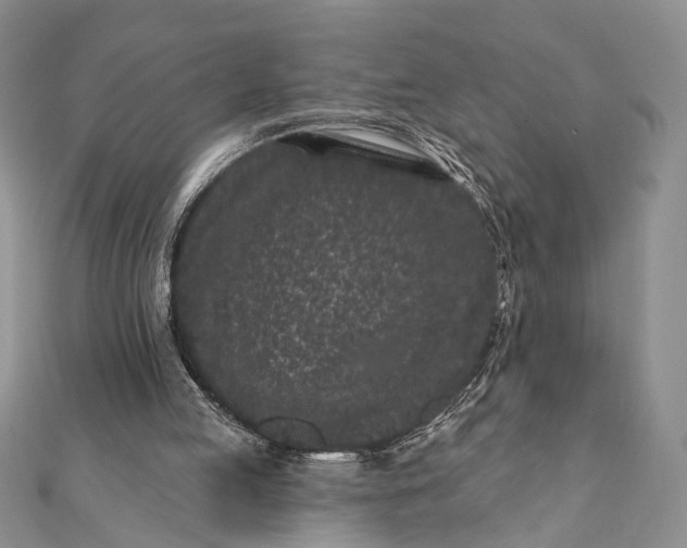 X0000112060053200908181207