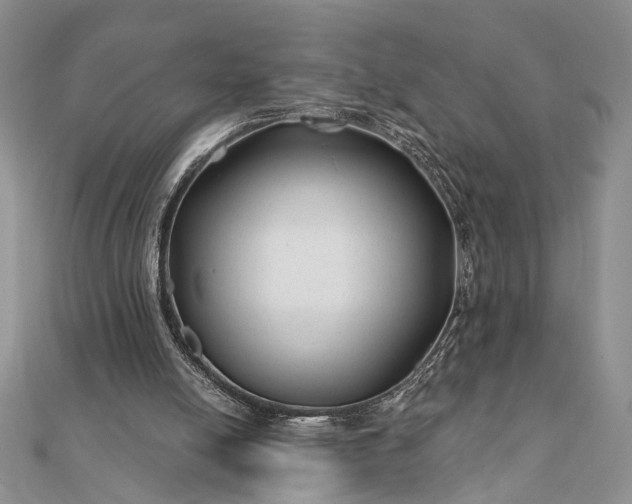 X0000112060054200908181207