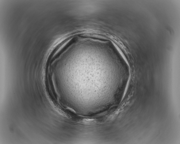 X0000112060055200908181207