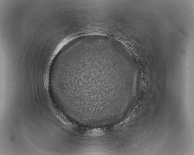 X0000112060056200908181207