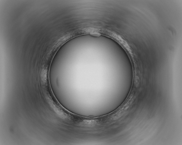 X0000112060057200908181207