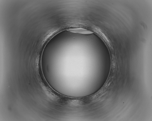 X0000112060058200908181207