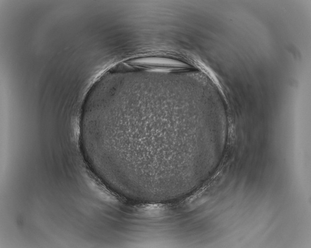 X0000112060059200908181207