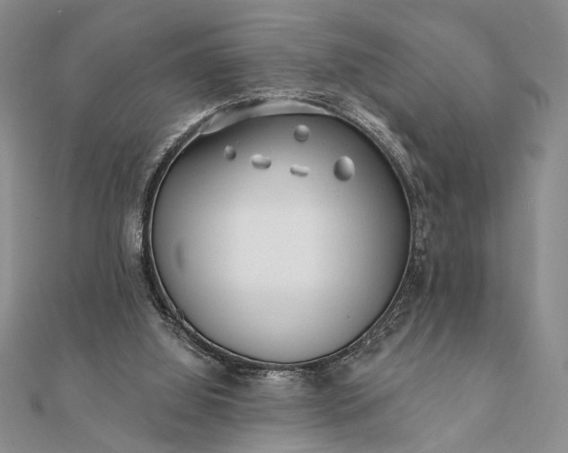 X0000112060060200908181207