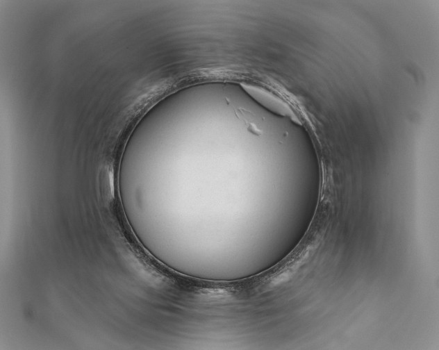 X0000112060061200908181207