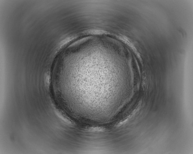 X0000112060063200908181207