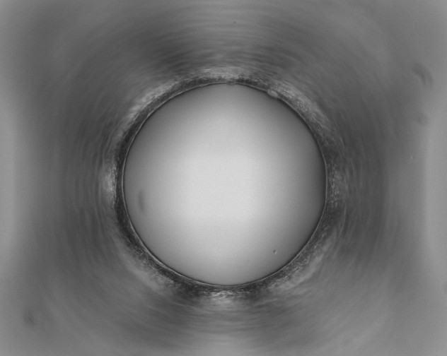 X0000112060064200908181207