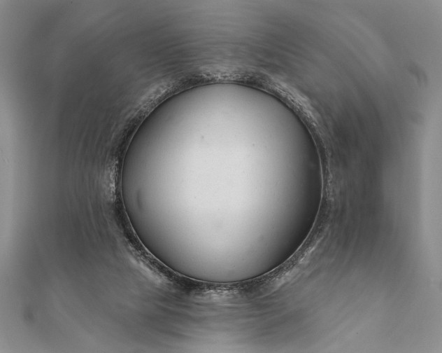 X0000112060065200908181207