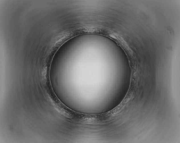 X0000112060066200908181207