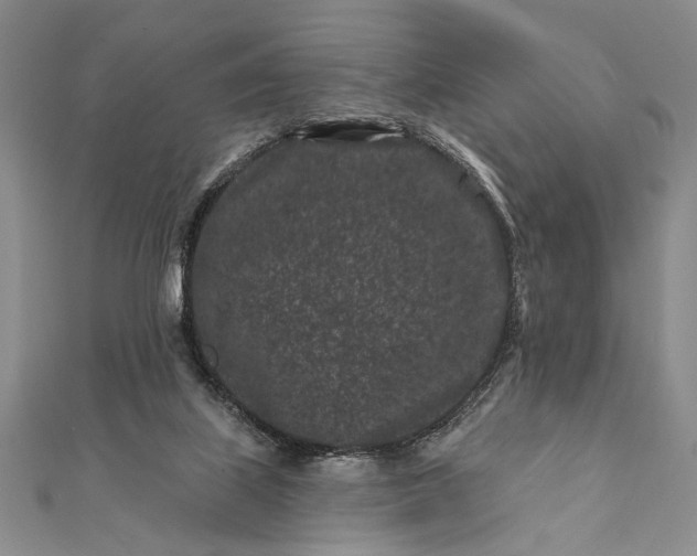 X0000112060067200908181207