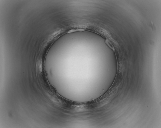 X0000112060068200908181207