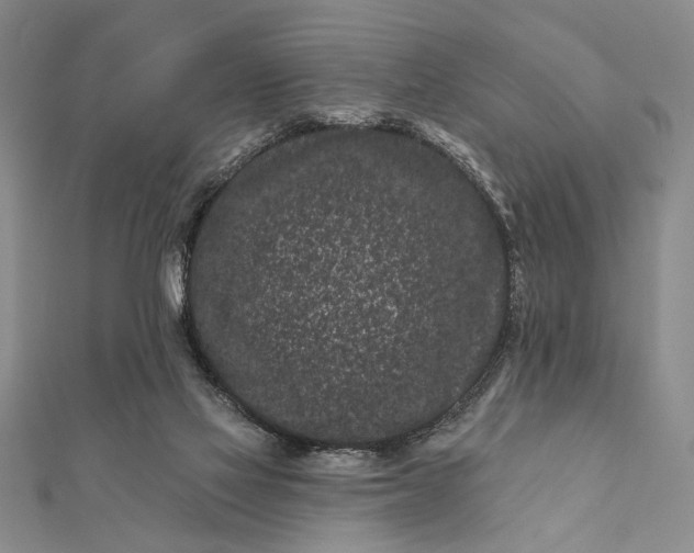 X0000112060069200908181207