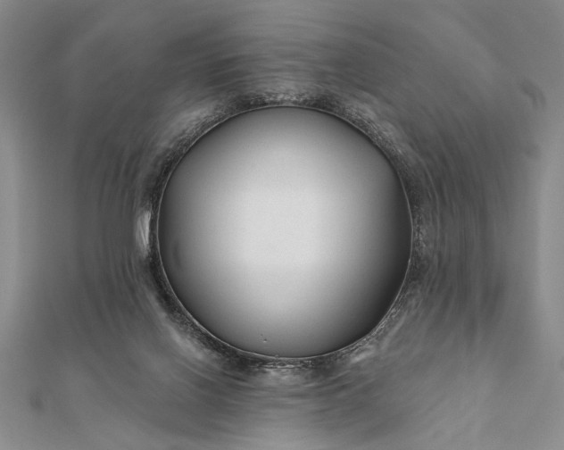 X0000112060070200908181207