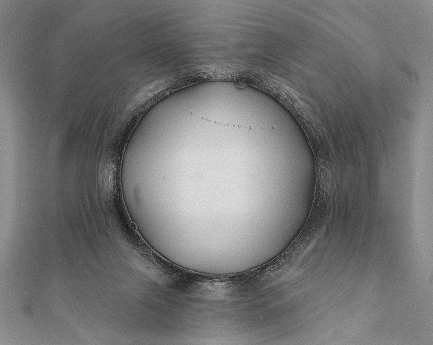 X0000112060071200908181207