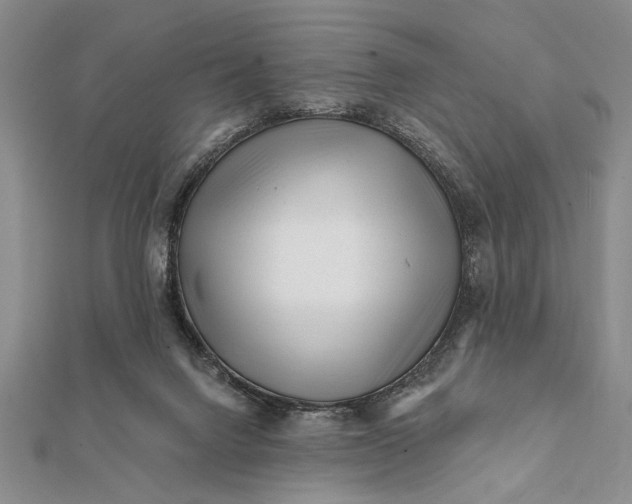 X0000112060072200908181207