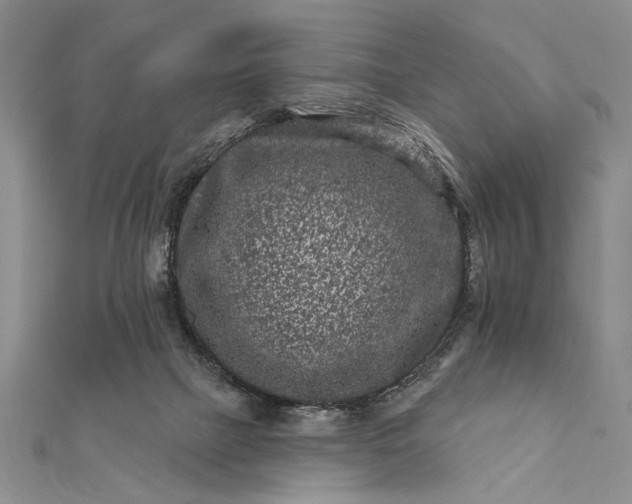 X0000112060073200908181207