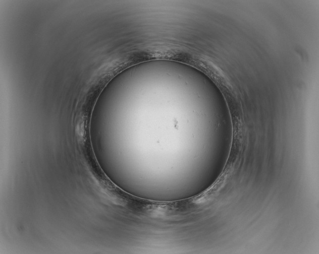 X0000112060074200908181207