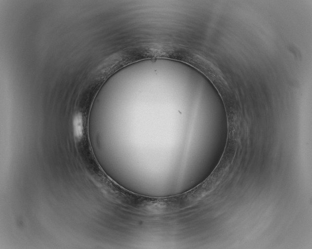 X0000112060075200908181207