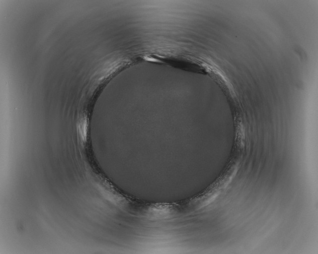 X0000112060076200908181207