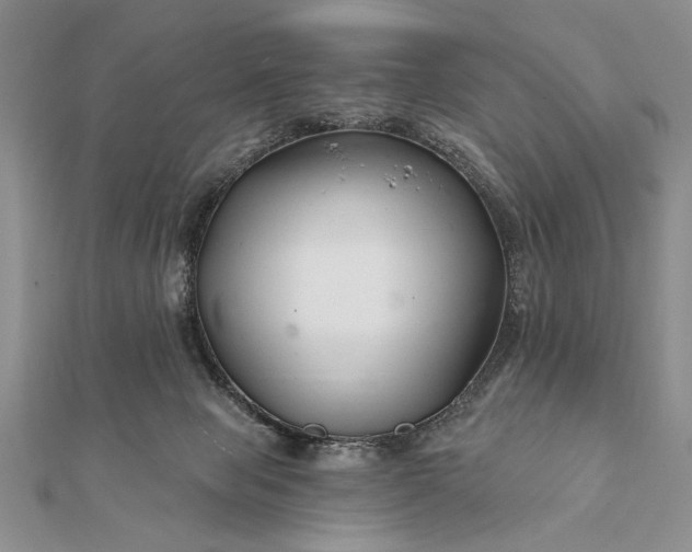 X0000112060077200908181207