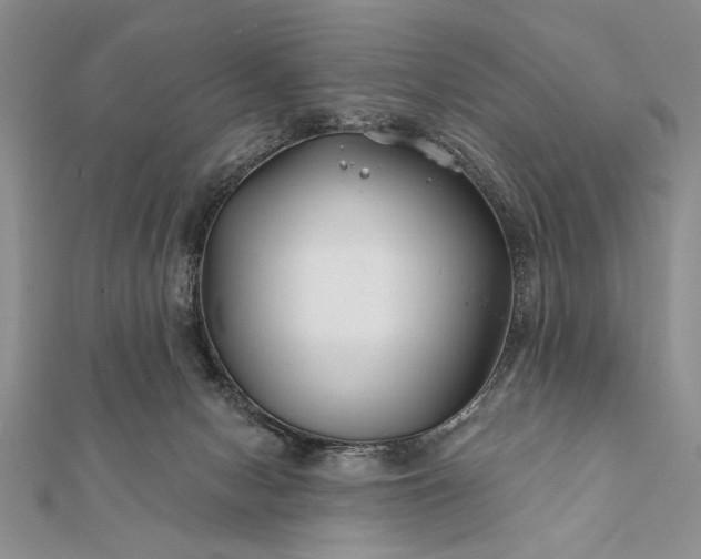 X0000112060078200908181207