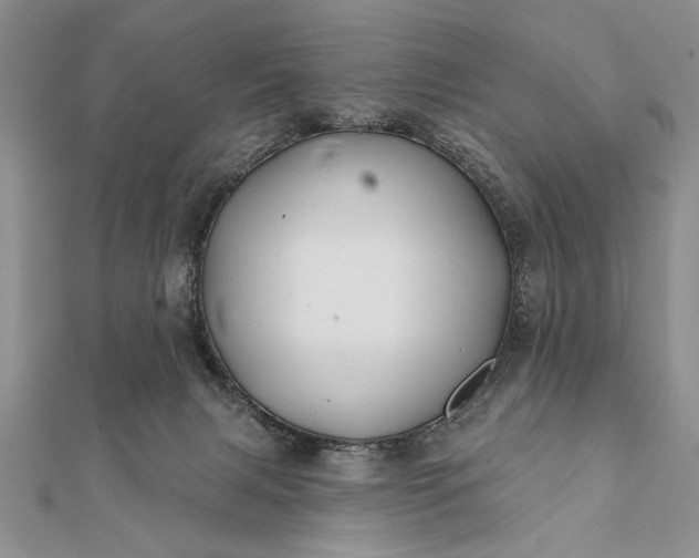 X0000112060079200908181208