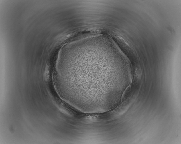 X0000112060080200908181208