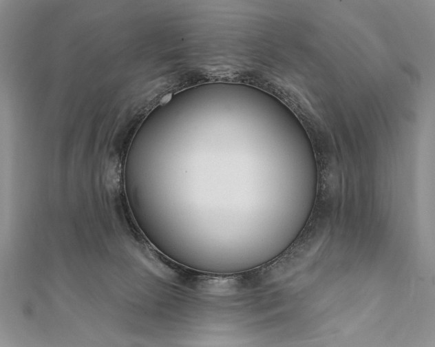 X0000112060081200908181208