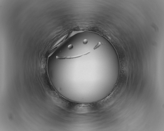 X0000112060082200908181208