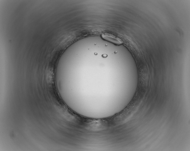 X0000112060083200908181208