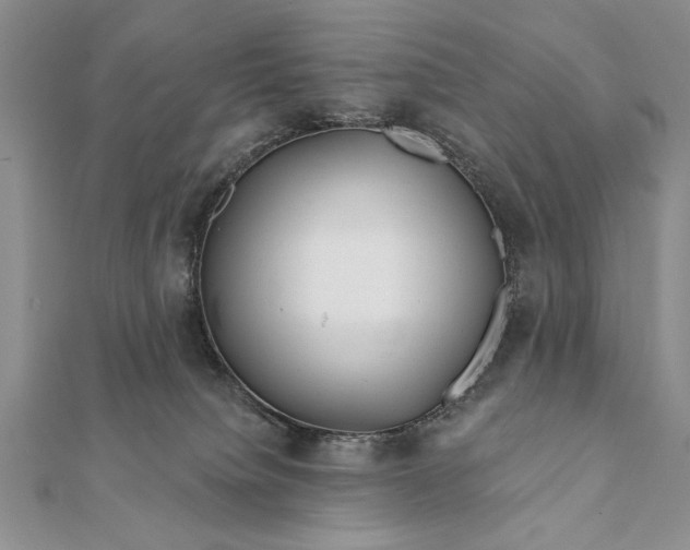 X0000112060084200908181208