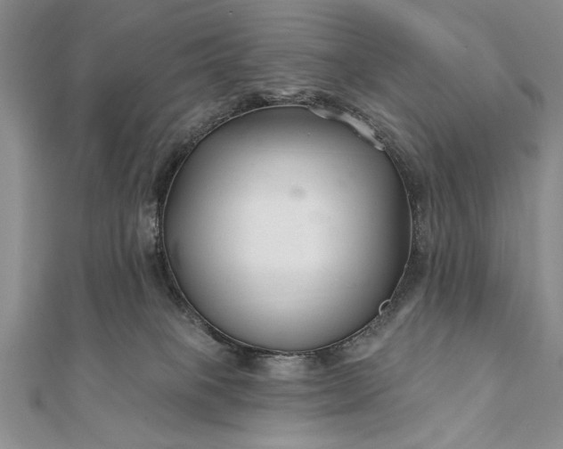 X0000112060085200908181208